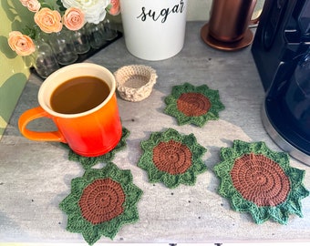 Succulent Plant Pot Coaster Set