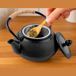 Teekanne aus Gusseisen mit Sieb | Im Japanischen Stil mit Griff | Schwarze Tetsubin mit 850 ml und Teesieb | Für Teezeremonie & Teegenuss