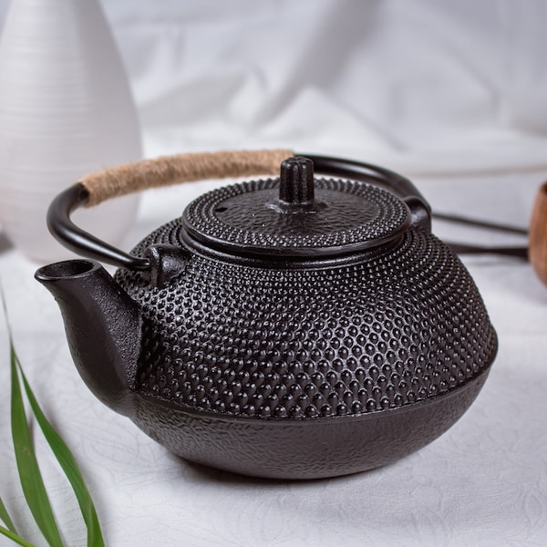 Japanese cast iron teapot