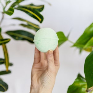 Eucalyptus and Mint Natural Bath Bomb, Eco-friendly Bath Bomb, Bath Bomb for Kids, Gift for Her, Bath Bomb for Men, Gift for Him, Bath Fizzy