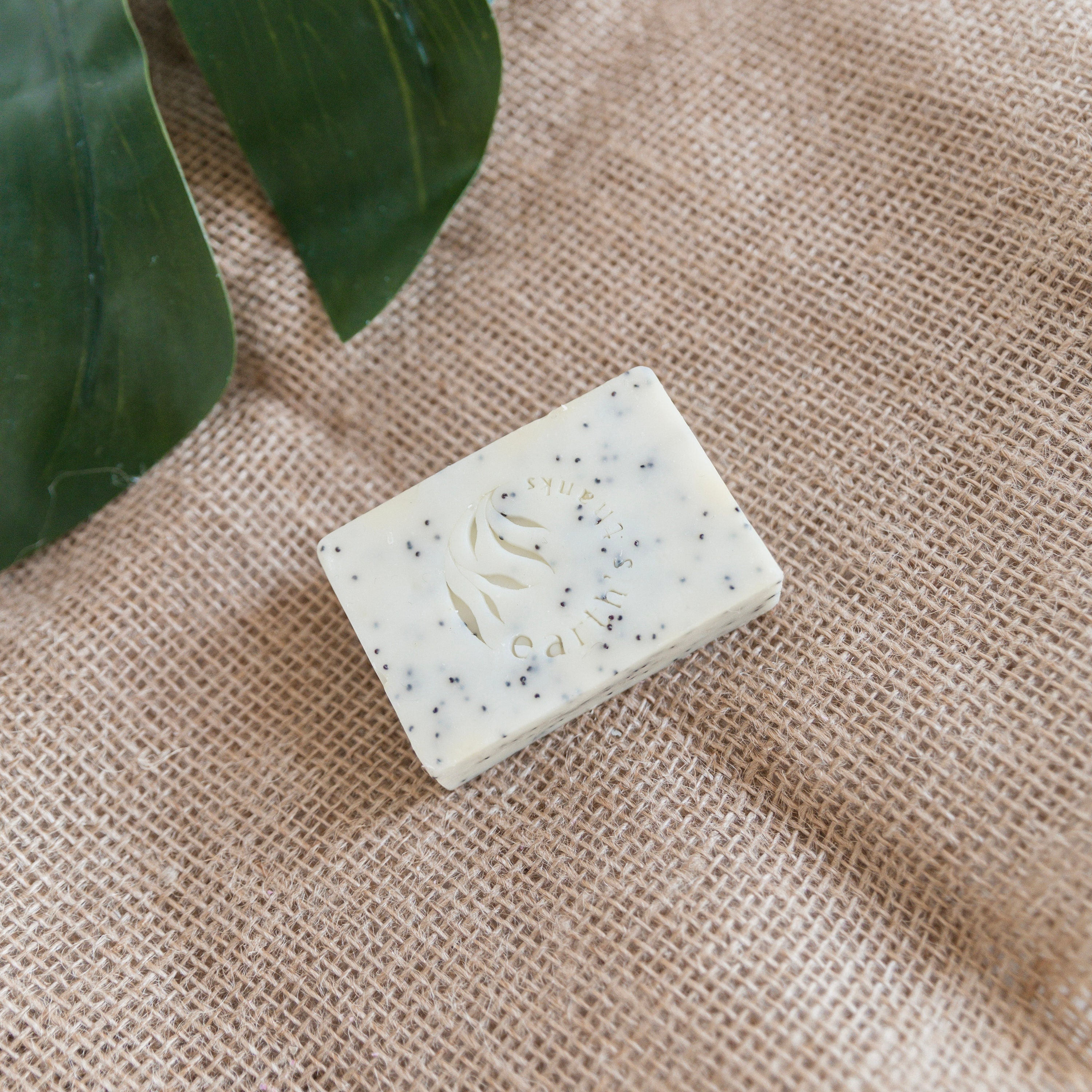 Lemon Poppy Seed Exfoliating Soap Etsy