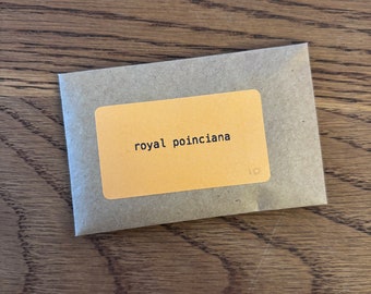 Royal Poinciana Tree Seeds / Delonix regia / Flamboyant / Phoenix Flower / Flame Tree - 10 Seeds