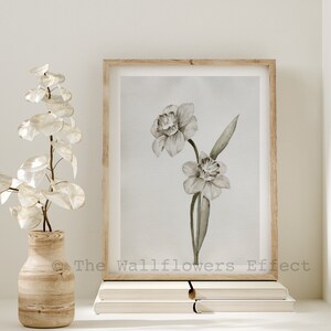 Narzissen Wandkunst, Vintage Französisch inspirierte Wanddekoration, romantisches Innendesign, Vintage Beige Wandkunst, Cottagecore Kunst, handgemachte Malerei