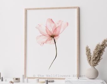Blush Pink Watercolor Decor, Pink Flower Wall Art, Transparent Wall Art, Girly Nursery Decor, Flower Wall Art, Minimalist Decor