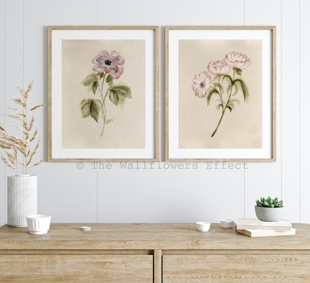 Vintage Soft Pink Wildflower Prints, Botanical Watercolor Wall Art - Etsy