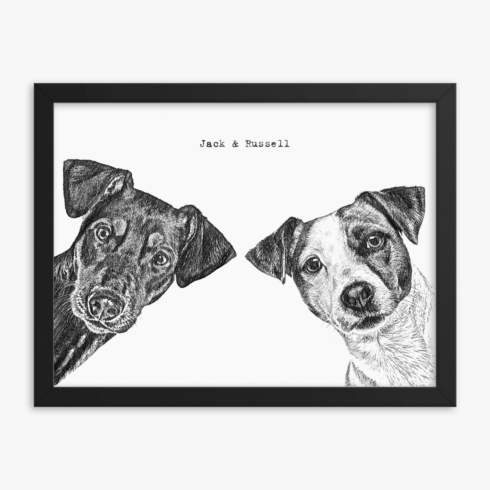 11+ Beautiful Custom Pet Portraits From Australian Artists