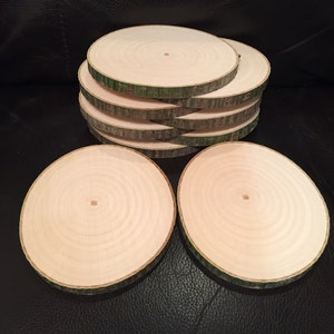 10 Maple Wood Slices choose from 2.5", 3", 3.5", 4", 4.5"