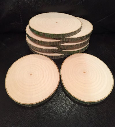 10 Inch Wood Slices 