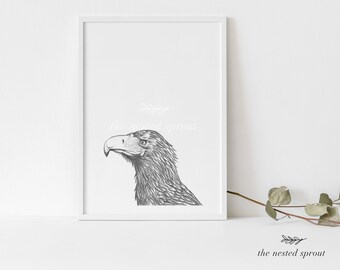 Wedge-tailed Eagle - Fine Art Print - Bird Hand Drawn Pencil Wall Art