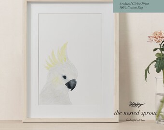 Sulphur-Crested White Cockatoo - Fine Art Print - Bird Hand Drawn Painted Watercolour Wall Art