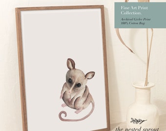 Baby Pygmy Possum - Fine Art Print - Nursery - Hand Drawn Painted Watercolour Wall Art