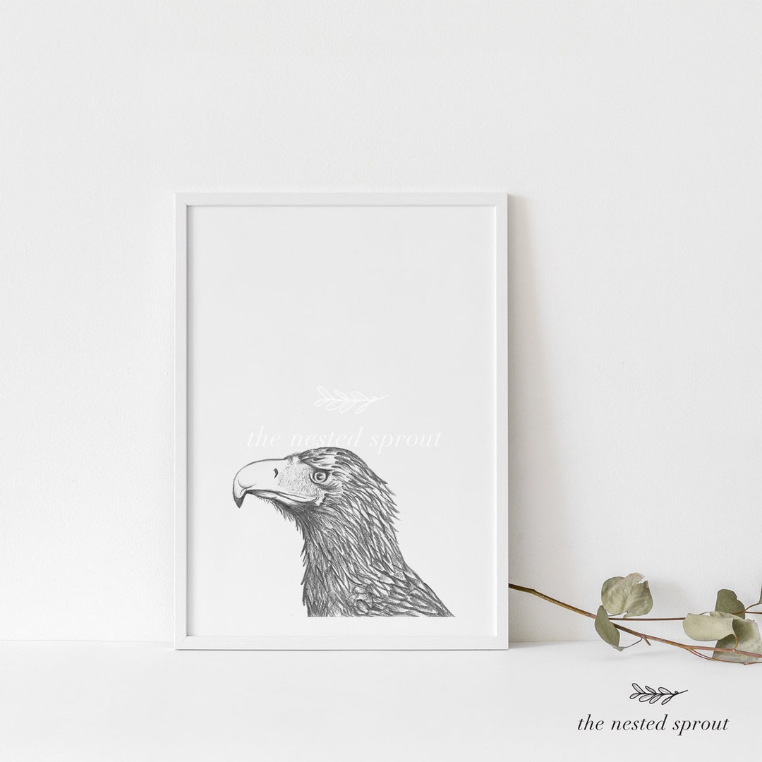 Wedge-tailed Eagle - Fine Art Print - Bird Hand Drawn Pencil Wall Art ...
