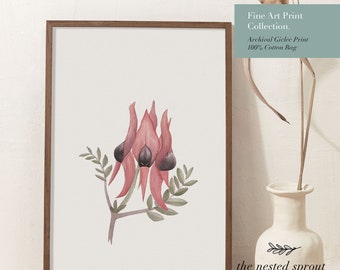 Sturt's Desert Pea - Fine Art Print - Hand Drawn Painted Watercolour Native Australian Wall Art