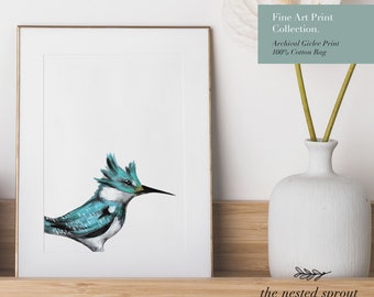 Little Kingfisher - Fine Art Print - Native Australian Bird Hand Drawn Painted Watercolour Wall Art