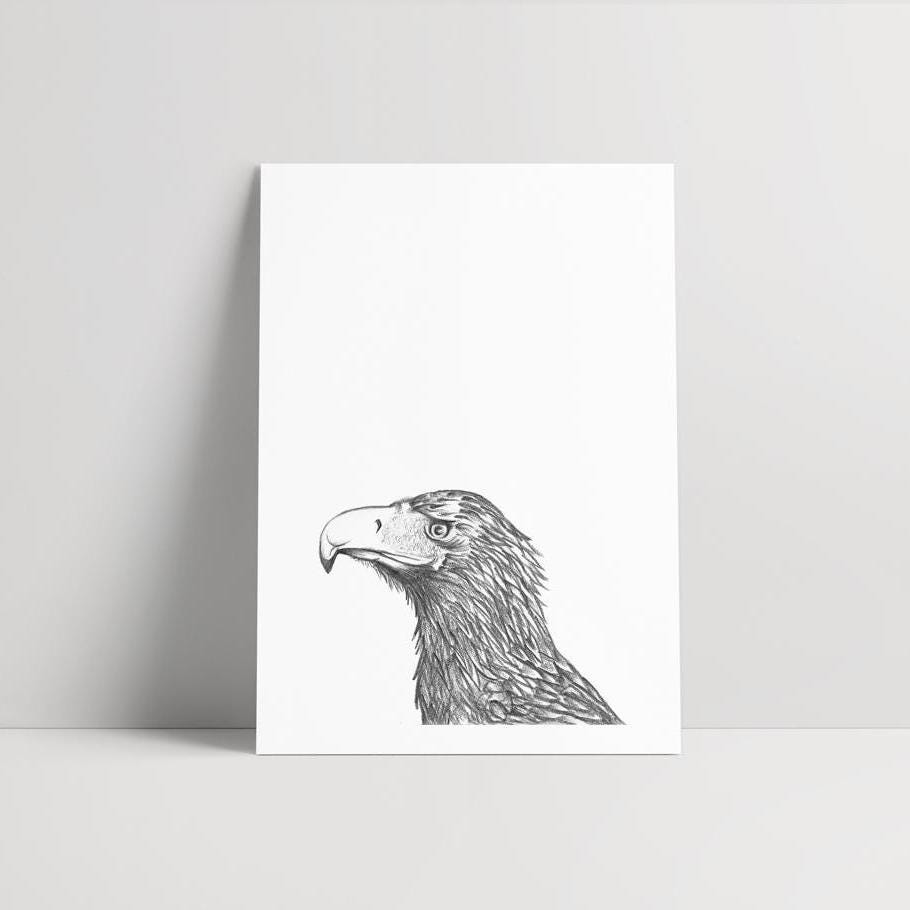 Wedge-tailed Eagle - Fine Art Print - Bird Hand Drawn Pencil Wall Art ...