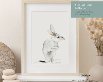 Baby Bilby - Fine Art Print - Australian Animal Hand Drawn Painted Watercolour Wall Art