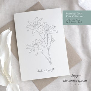 Botanical Birth Print Collection Greeting Cards Individual