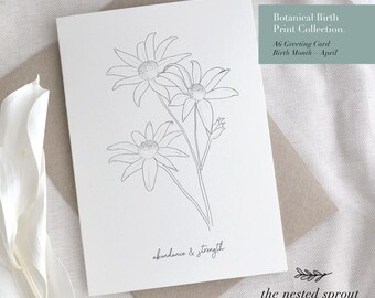 Botanical Birth Print Collection Greeting Cards Individual - Birthday Card Gift