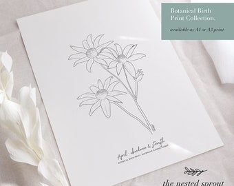 Botanical Birth Prints - Australian Birth Flowers - Birthday Gift, Baby, New Mum, Wall Art, Keepsake