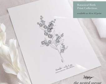 LISTOPAD Botaniczny wydruk narodzin – Australijskie kwiaty narodzin **PLIK CYFROWY**