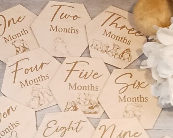 Winnie the Pooh Baby Monthly Milestone Markers/ Photo Prop, Baby Shower ...