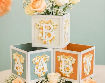 Könnte beinhalten: Drei gestapelte Holzblöcke mit dem Schriftzug "BABY", die jeweils mit einem Baby-Strampler-Design mit Orangenfrüchten verziert sind. Die Blöcke sind von Pfirsich- und weißen Rosen umgeben, mit einer Girlande aus orangefarbenen Kreisen im Hintergrund.