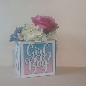 NIEUWE KLEUR- en matenopties! Gender-onthullende tafeldecoraties Tafeldecoraties/feestdecoraties/tafeldecoraties
