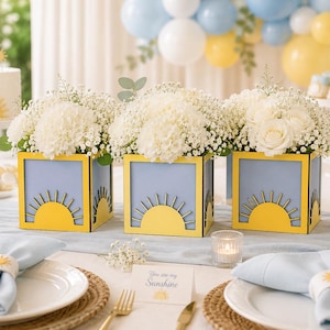 May include: Three square light blue vases with yellow sun cutouts, each filled with white hydrangea and baby's breath flowers. The vases are arranged on a table with light blue napkins, white plates, and a card that reads You are my Sunshine.