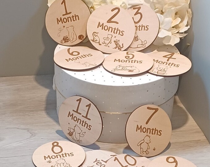Classic Winnie the Pooh Monthly Milestone Marker, Photo Props - Etsy