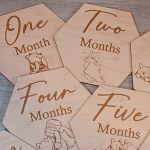 Winnie the Pooh Baby Monthly Milestone Markers/ Photo Prop, Baby Shower ...