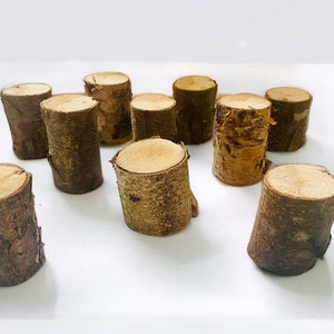 10 Birch wood stumps @ 2” - birch decor - little birch logs -  rustic decor - crafting logs/stumps - fairy garden/doll house landscape -