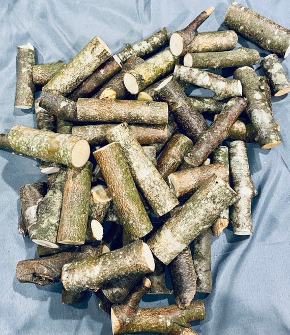 Mini Birch Tree Logs Bulk Over 25 Pieces Etsy