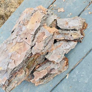 May include: A pile of brown bark with a rough texture and small holes. The bark is arranged in a random pattern and appears to be dry.