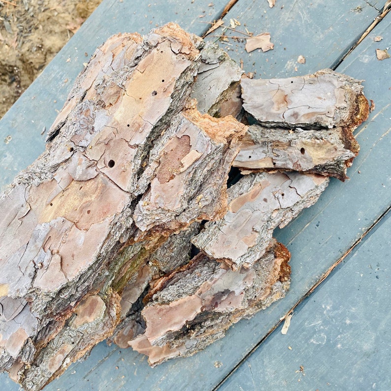 May include: A pile of brown bark with a rough texture and small holes. The bark is arranged in a random pattern and appears to be dry.
