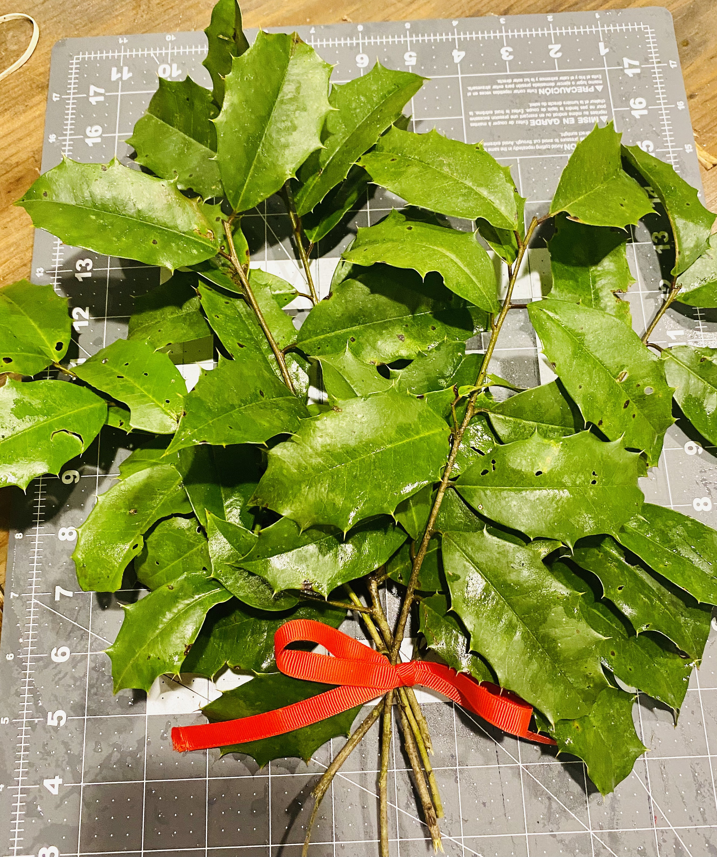 Fresh Holly Branches Christmas Holly | Etsy