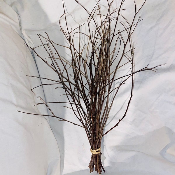 Extra long Birch Twigs - 25 long bundled Birch twigs - 20” to 24” long - farmhouse decor - floral arrangements- rustic wedding