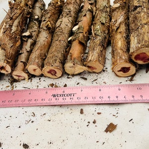 Small Cedar logs set of 10 wood sticks/logs 8 length bundle of cedar aromatic cedar logs all natural craft logs image 4