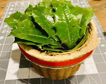 Fresh Holly Leaves ( 50 count) - Christmas Greenery