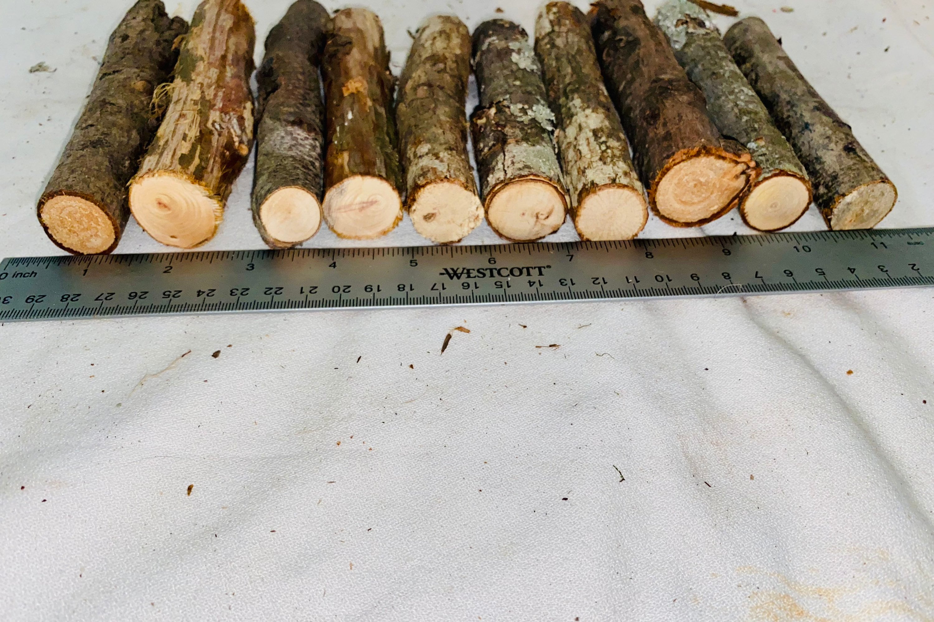 Small Pine Logs Set of 10 Wood Sticks/logs 8 Length Bundle of Pine Stick  Logs All Natural Craft Sticks 