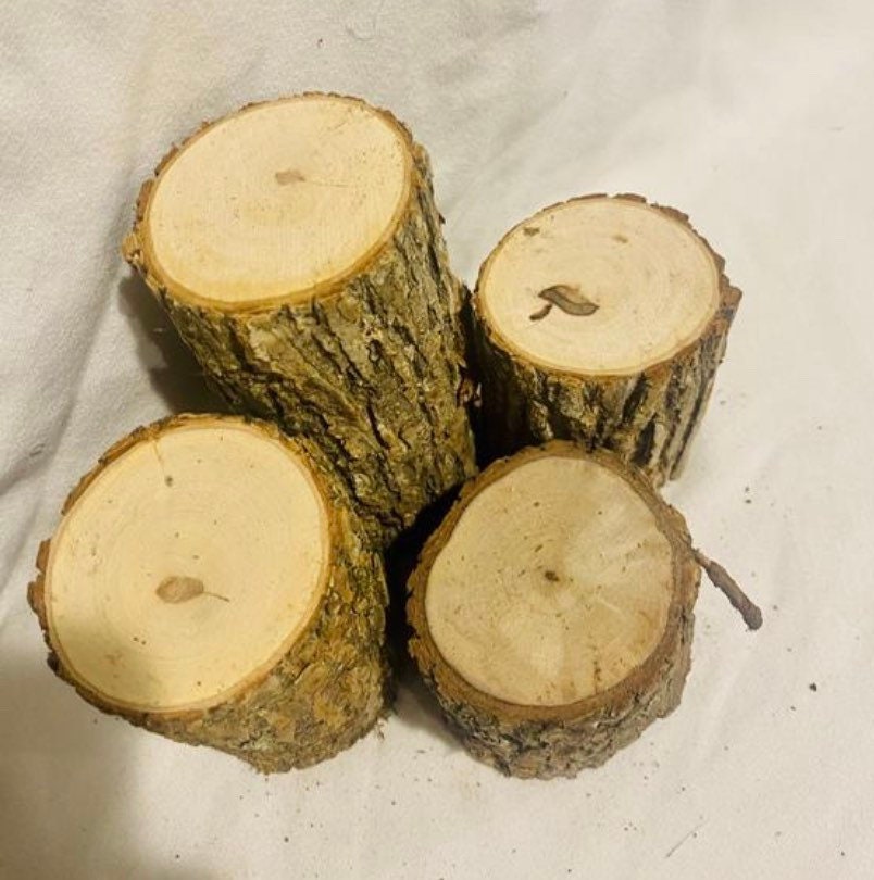 Tocones de troncos de madera rústica conjunto de 3 decoraciones de madera  rústica de 5 de diámetro boda rústica, pieza central de mesa rústica,  decoración de jardín de hadas -  España
