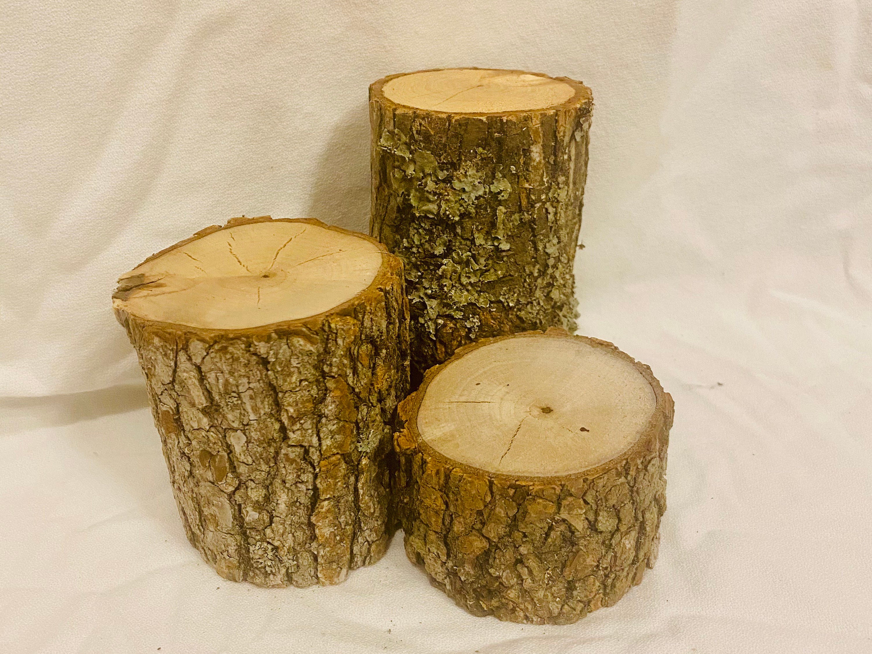 Rustic Wood Log Stumps Set of 3 With 23 Diameter Rustic Etsy