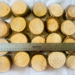 May include: A collection of small, round wooden slices with visible growth rings and bark edges. A ruler shows the diameter of the slices, which are approximately 2.5 to 7.6 cm across. The wood has a light brown color.