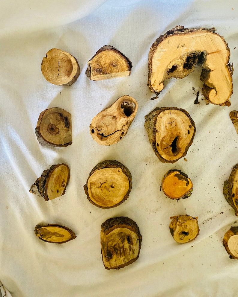 Assorted Wood Burl Pieces Box of Burl Wood Over 30 Pieces Etsy