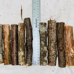 May include: Eight pieces of natural wood branches, approximately 76 cm long, arranged in a row on a white surface. A ruler is visible in the background.