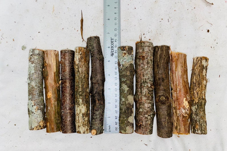 May include: Eight pieces of natural wood branches, approximately 76 cm long, arranged in a row on a white surface. A ruler is visible in the background.