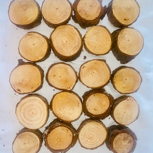 May include: Twenty-one small, round wooden slices with visible growth rings and bark edges. The wood is light brown, and the slices are arranged in a grid pattern against a white background. These rustic wood slices are ideal for crafts and decor.