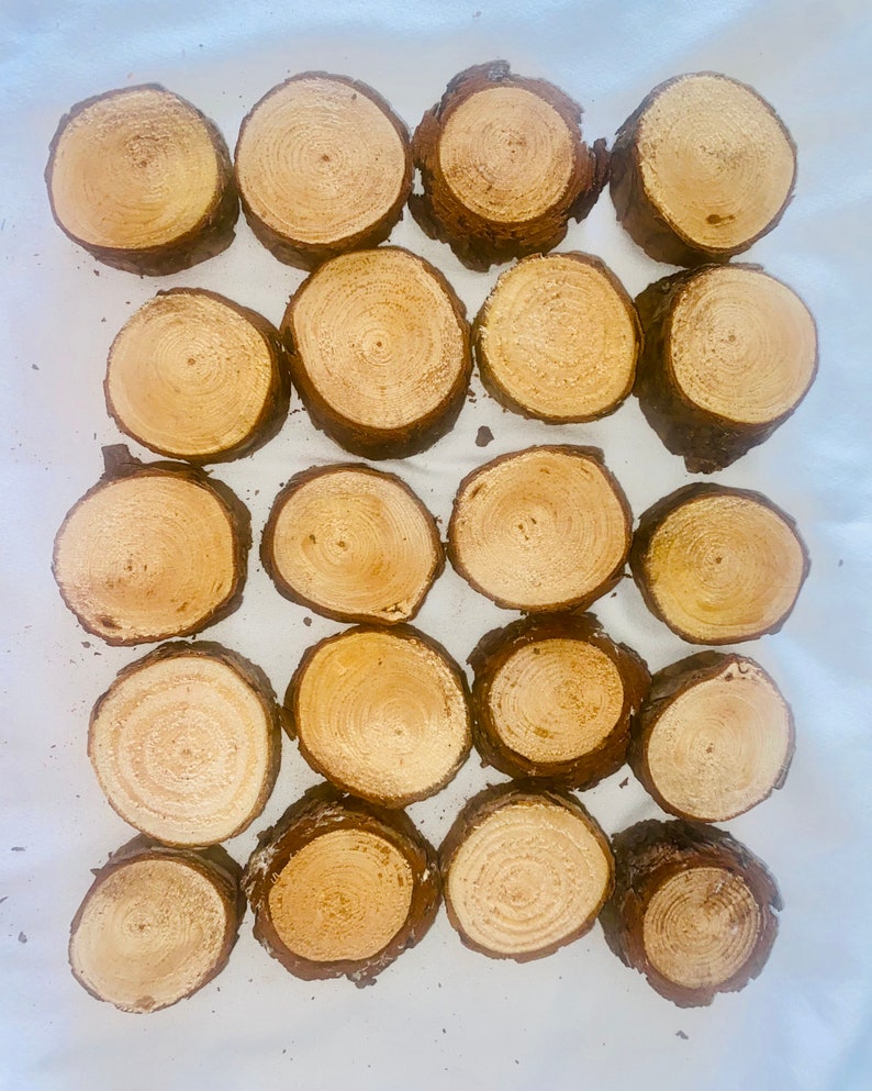 May include: Twenty-one small, round wooden slices with visible growth rings and bark edges. The wood is light brown, and the slices are arranged in a grid pattern against a white background. These rustic wood slices are ideal for crafts and decor.