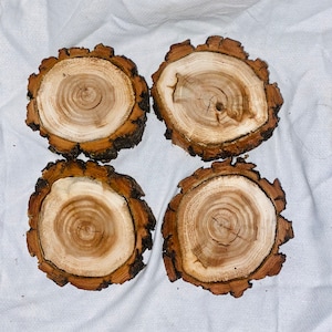 May include: Four round wooden slices with bark edges. The wood is a light brown color with darker brown rings.