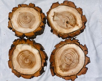 Willow Wood Slices - 4 slices - unfinished coaster set -wedding decor - diy coasters- all natural- thick willow slices - willow riser