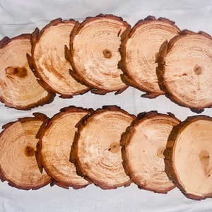 May include: Ten round wooden coasters with a natural wood finish. The coasters have a rough, rustic edge and are perfect for adding a touch of nature to your home decor.